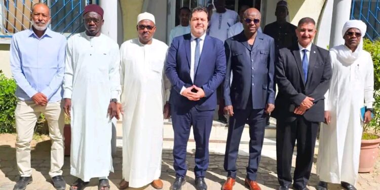Tchad : Rencontre entre le Ministre de l&rsquo;Eau et le Groupe Égypto-Africain