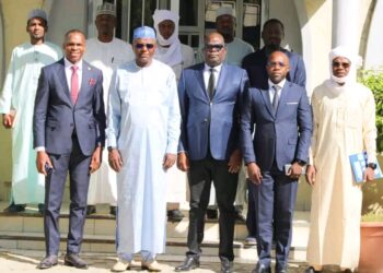 Tchad : Le Ministre de l&rsquo;Eau et de l&rsquo;énergie reçoit une délégation du Groupe EIBH