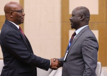 Tchad-UNSAC : Malabo prend le relais pour la sécurité en Afrique centrale​