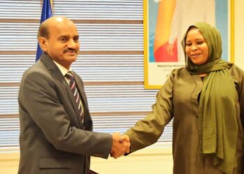 Diplomatie : Le Tchad et l’Inde inscrivent une nouvelle étape dans leur partenariat stratégique‎‎