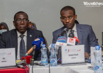 Tchad : Lancement d&rsquo;une Initiative pour stimuler l&rsquo;entrepreneuriat vert