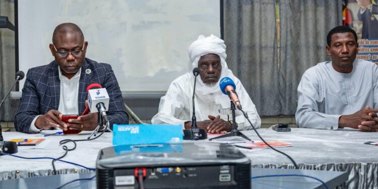 Tchad : Renforcement des capacités des experts nationaux sur l’utilisation de l’outil GACMO