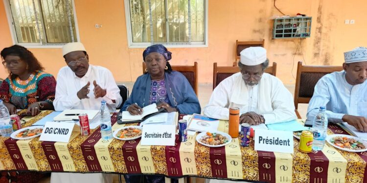 ​Tchad : Le CNRD fixe ses priorités scientifiques pour 2026