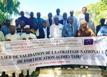 Tchad : Ouverture de l&rsquo;atelier de validation de la stratégie nationale de fortification alimentaire