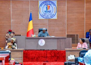 Tchad : Le Sénat valide l&rsquo;amnistie de Miski et la réforme du Code de procédure
