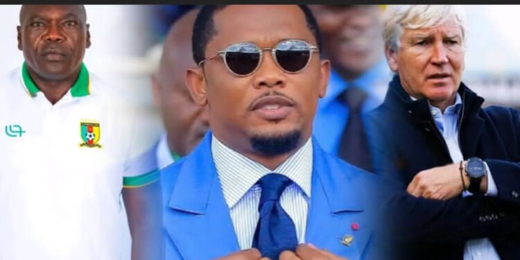 Cameroun : Choc au sein des Lions Indomptables, Marc Brys remplacé et absences surprenantes pour la CAN Maroc 2025