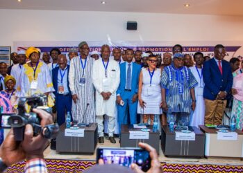 Tchad : Lancement d&rsquo;une formation inédite de conseillers emploi, le Tchad, « terre d&rsquo;innovation » pour l&rsquo;AASEP