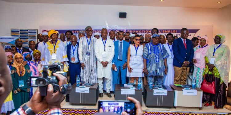 Tchad : Lancement d&rsquo;une formation inédite de conseillers emploi, le Tchad, « terre d&rsquo;innovation » pour l&rsquo;AASEP