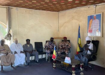 Tchad : À Goz-Beïda, toutes les forces vives mobilisées pour une campagne de vaccination réussie