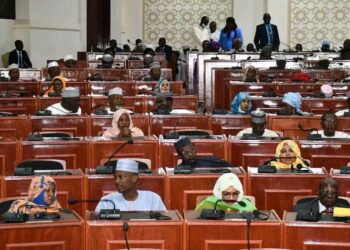 Tchad : Les députés examinent et adoptent deux projets de loi