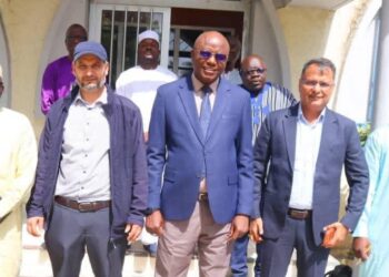 Tchad : Énergies renouvelables, le groupe Felixts GmbH à l’écoute des ambitions de N’Djamena