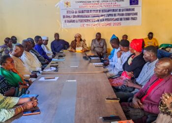 Tchad : Le 6ᵉ arrondissement adopte son premier Plan de Développement Communal