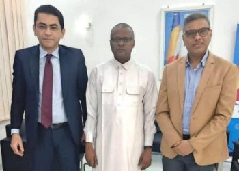 Tchad : Une dynamique économique renforcée autour de l’exportation de la viande vers l’Égypte