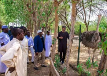 N&rsquo;Djamena : Le maire Senoussi Hassana Abdoulaye en immersion à la ferme Sara et David.