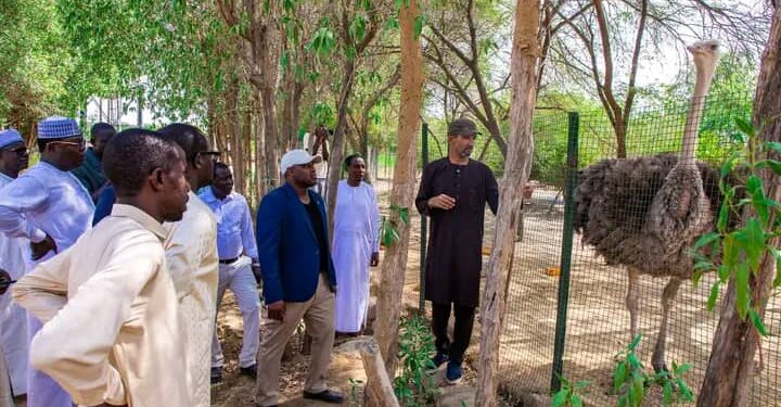 N&rsquo;Djamena : Le maire Senoussi Hassana Abdoulaye en immersion à la ferme Sara et David.