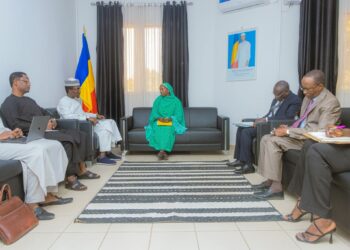 Tchad : Échange entre la Ministre des Transports et le BNFT sur des projets stratégiques