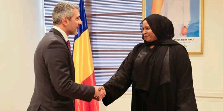 Tchad : Le Directeur régional du CICR reçu par la Ministre Déléguée Fatimé Aldjineh Garfa