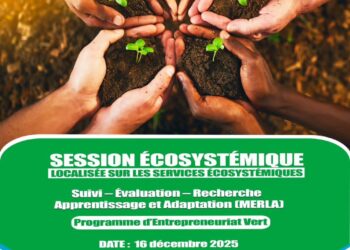 LL&rsquo;ONAPE en partenariat avec UBA et la Fondation Tony Elumelu organisent une session Écosystème