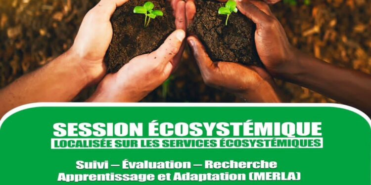 LL&rsquo;ONAPE en partenariat avec UBA et la Fondation Tony Elumelu organisent une session Écosystème