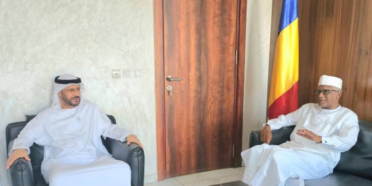 Tchad : Les Émirats arabes unis annoncent la construction d’infrastructures scolaires