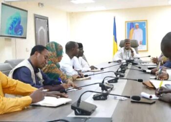 Tchad : Le Ministre de la Santé rencontre les responsables des structures sanitaires de la capitale.
