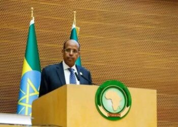 الاتحاد الأفريقي يستنكر بأشد العبارات الهجوم المسلح الدامي في سيدني