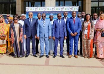 Tchad : La fibre optique, « colonne vertébrale stratégique » de l&rsquo;Afrique Centrale