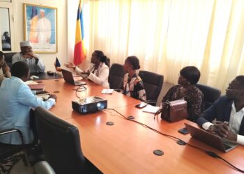 Tchad : Le Ministre de l’Aménagement du Territoire reçoit EBENYX Technologies S.A