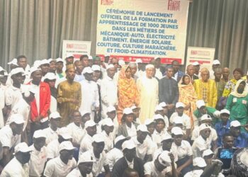 ​Tchad : Le FONAP lance la formation de 1 000 jeunes pour booster l’emploi