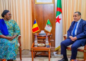Tchad : La Ministre du pétrole Ndolenodji Alixe Naïmbaye reçue par son collègue algérien