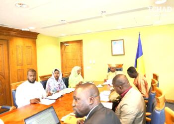 Tchad : Restitution de la mission de suivi des chantiers des chancelleries et résidences diplomatiques d&rsquo;Abuja et de Yaoundé.