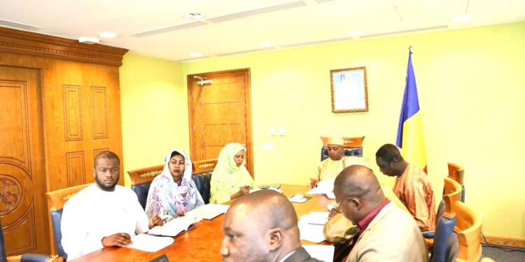 Tchad : Restitution de la mission de suivi des chantiers des chancelleries et résidences diplomatiques d&rsquo;Abuja et de Yaoundé.