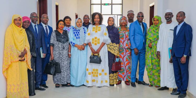 Tchad : La Ministre de l&rsquo;Action sociale a été auditionnée au Sénat sur le projet de loi portant restructuration du Fonds national de solidarité.