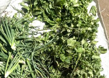 N’Djaména : le prix des légumes peine à baisser sur les marchés