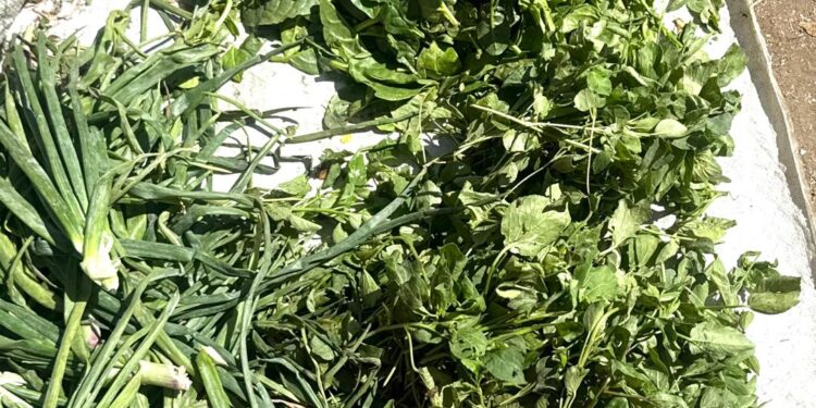 N’Djaména : le prix des légumes peine à baisser sur les marchés