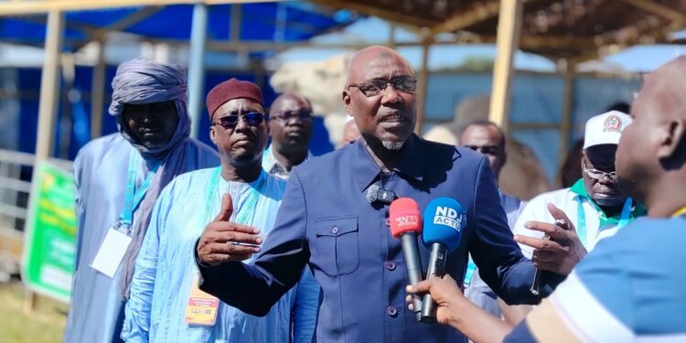 ​Tchad : Le Salon National de l’Élevage, vitrine d’une ambition industrielle