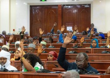Tchad : L&rsquo;Assemblée nationale adopte douze accords bilatéraux de services aériens