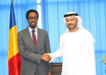 Tchad : Rencontre entre le Ministre de la Communication et l&rsquo;Ambassadeur des Émirats Arabes Unis
