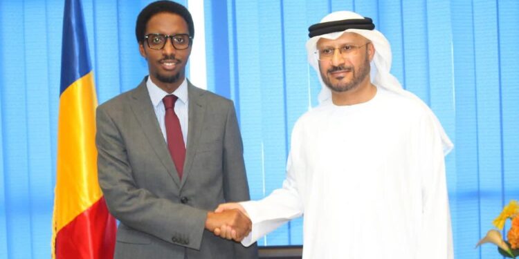 Tchad : Rencontre entre le Ministre de la Communication et l&rsquo;Ambassadeur des Émirats Arabes Unis
