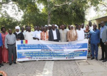 ​Tchad : La sécurité sanitaire des aliments de rue au cœur d’une formation à N’Djamena​
