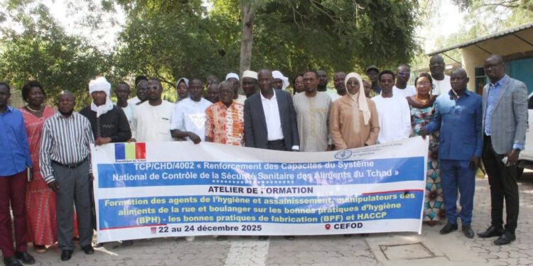 ​Tchad : La sécurité sanitaire des aliments de rue au cœur d’une formation à N’Djamena​