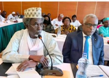 Tchad : Un conseil stratégique pour revitaliser les académies du secteur de l&rsquo;éducation