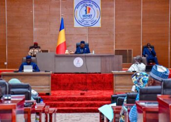 ​Tchad : Le Sénat adopte à une large majorité la réforme des communications électroniques
