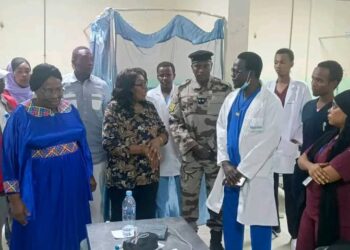N&rsquo;djamena : La Secrétaire d&rsquo;État à la Santé visite les services d&rsquo;urgence des CHU de la capitale