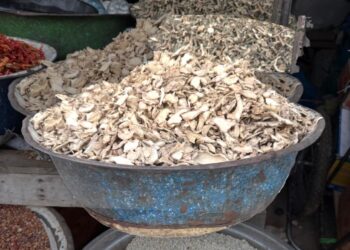 ​N&rsquo;Djaména : Le prix du gingembre en chute libre sur les marchés