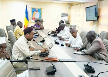 Tchad : Santé publique, le bilan de la Noël sous la loupe des autorités