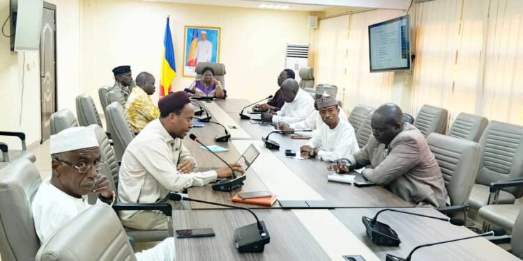 Tchad : Santé publique, le bilan de la Noël sous la loupe des autorités