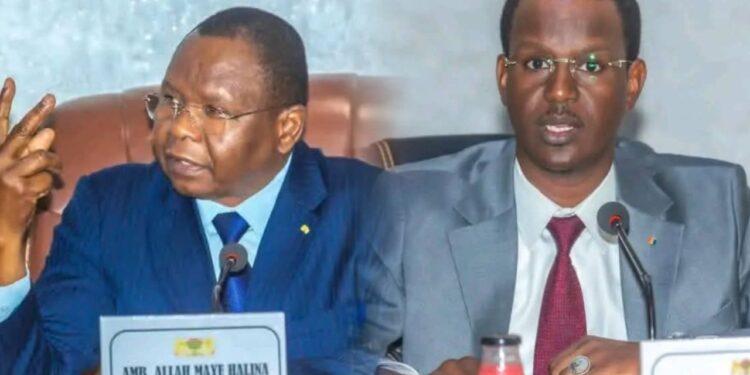 ​Tchad : l&rsquo;Amb Allah-Maye Halina insuffle une nouvelle dynamique au tourisme et à la culture