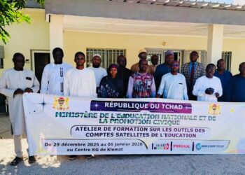 Tchad : Formation aux outils des comptes satellites de l&rsquo;éducation au Tchad