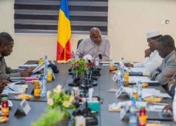 Tchad : Conseil d&rsquo;administration de la SOPROFIM sous l&rsquo;égide du Ministre Mahamat Assileck Halata
